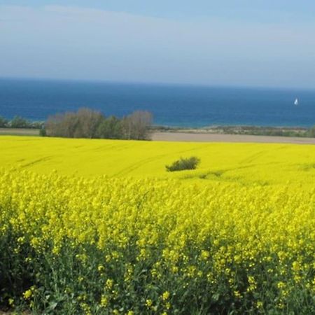 Reetdachhaus Salzhaff Βίλα Pepelow Εξωτερικό φωτογραφία